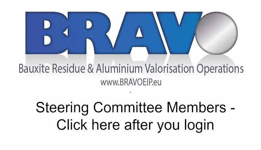 Steering Committee Area After Login